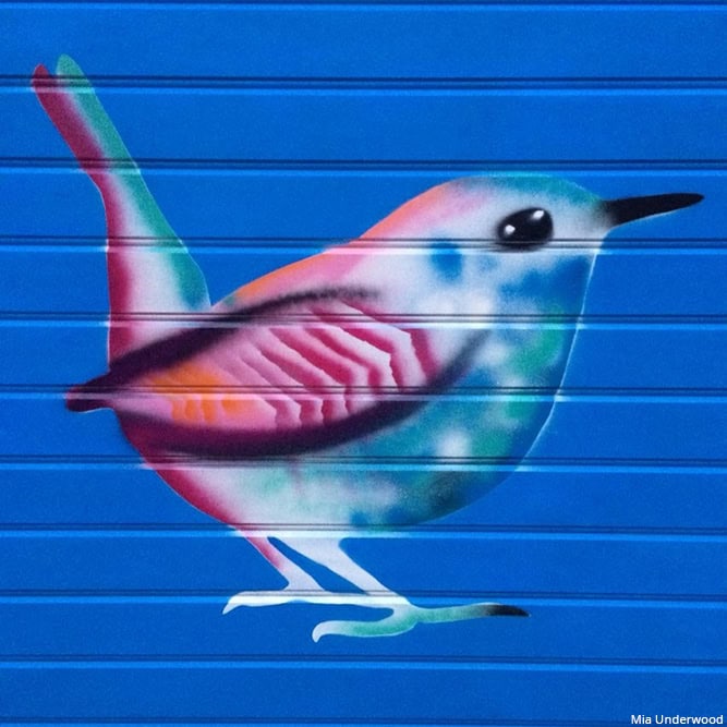 A bird spray painted on shop shutters